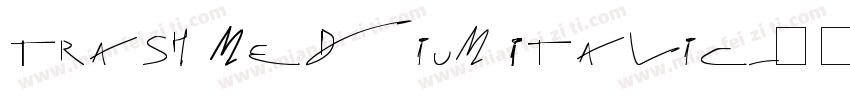 Trash Medium Italic字体转换